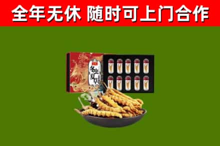顺昌县回收冬虫夏草价格