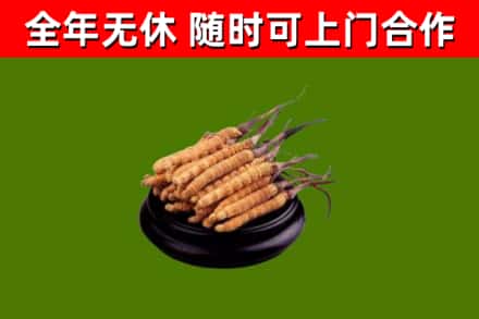 顺昌县烟酒回收冬虫夏草.jpg